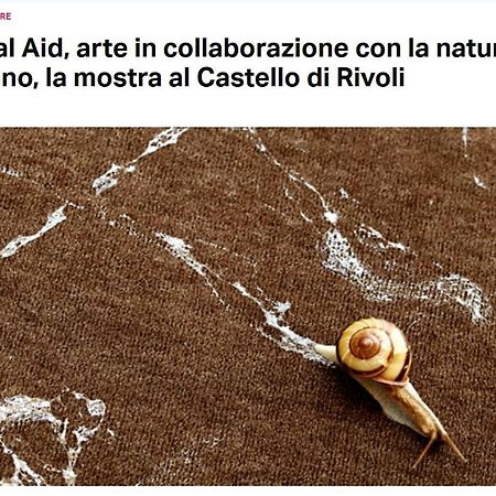 La Casa Di Silvio Ai Giardini Reali Leilighet Torino Eksteriør bilde